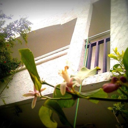 Thalassa Studios Faliraki Luaran gambar
