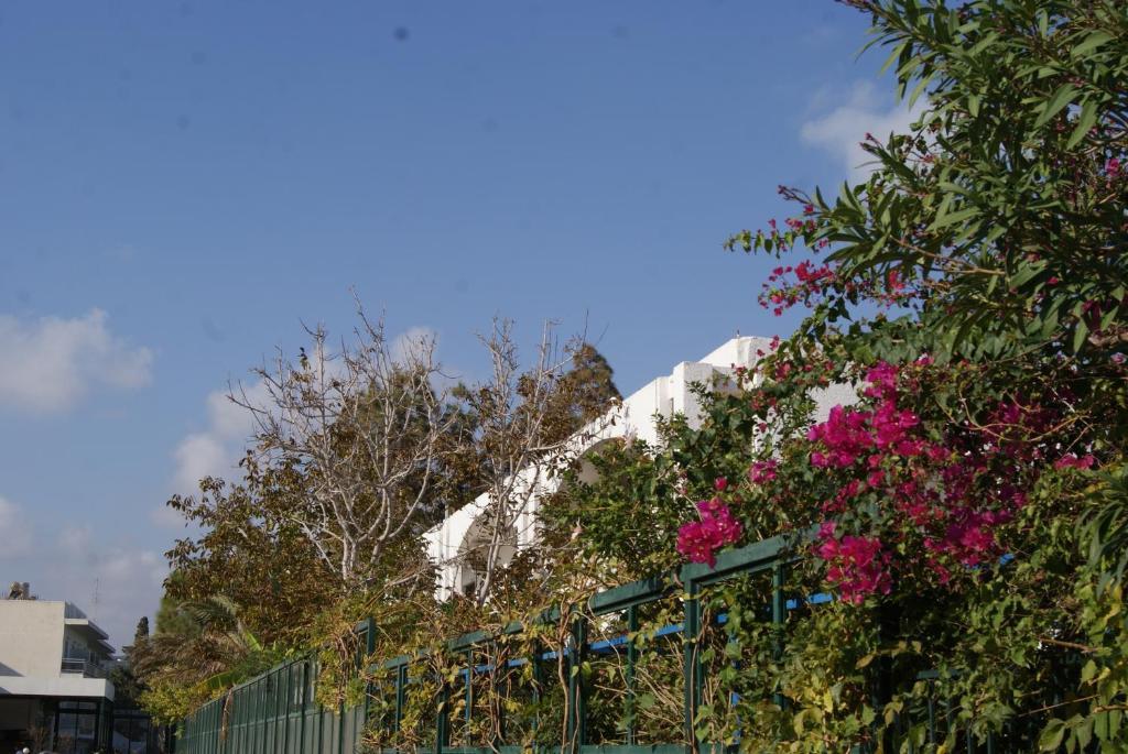 Thalassa Studios Faliraki Luaran gambar