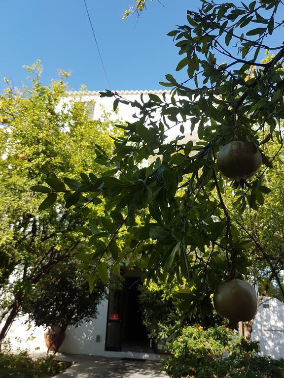 Thalassa Studios Faliraki Luaran gambar