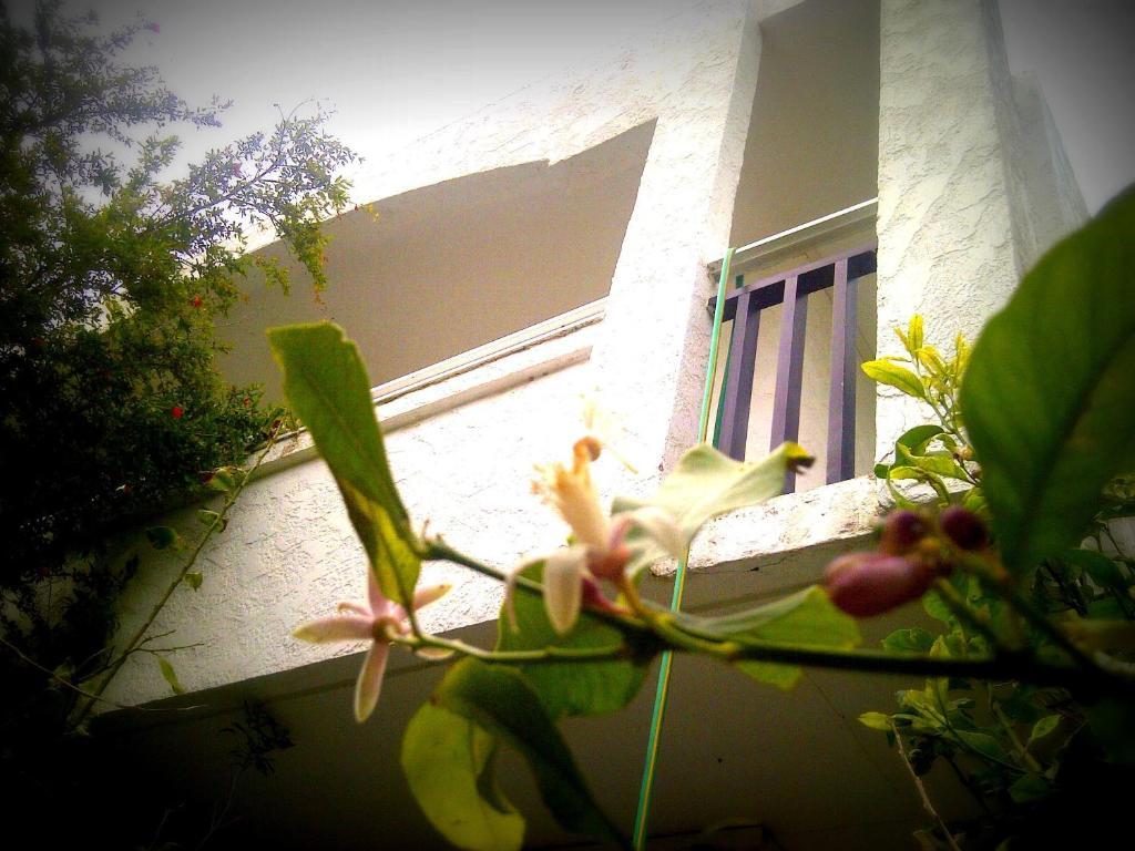 Thalassa Studios Faliraki Luaran gambar